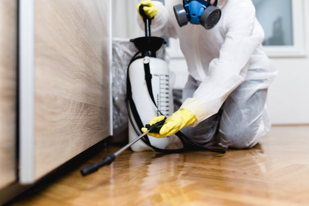 Best Local Pest Control Services  in Elwood, IL