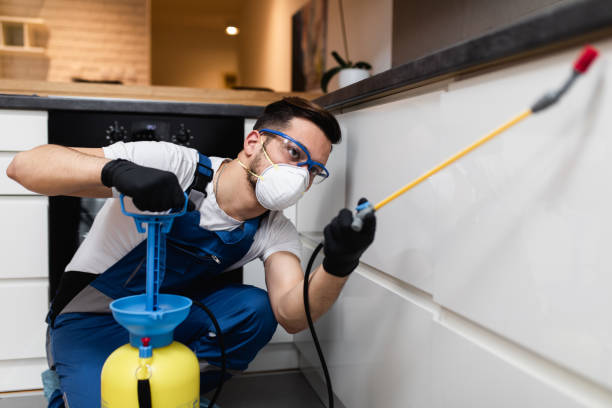 Best Emergency Pest Control  in Elwood, IL