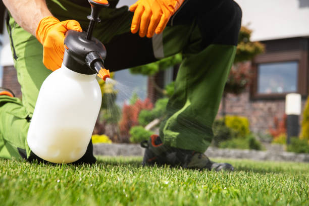 Best Affordable Pest Control Services  in Elwood, IL