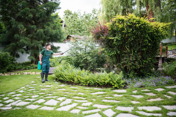 Best Best Pest Control Companies  in Elwood, IL