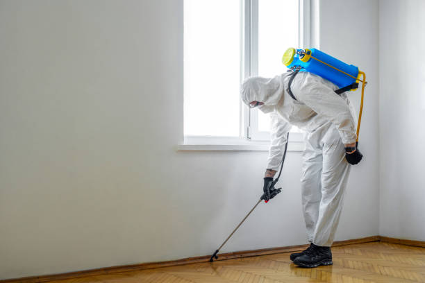Best Affordable Pest Control Services  in Elwood, IL