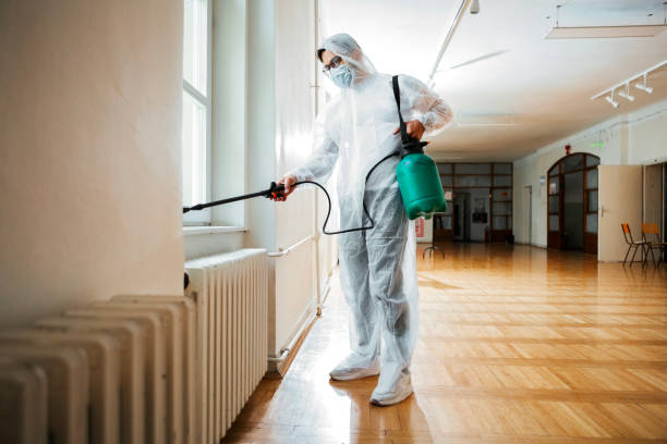 Best Pest Prevention Services  in Elwood, IL