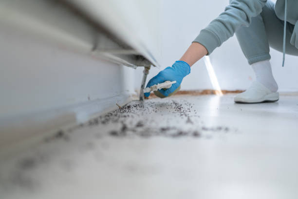 Best Cockroach Control Services  in Elwood, IL