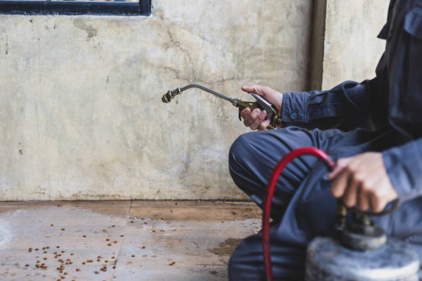 Best Termite Control Services  in Elwood, IL