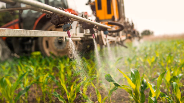 Best Pest Prevention Services  in Elwood, IL