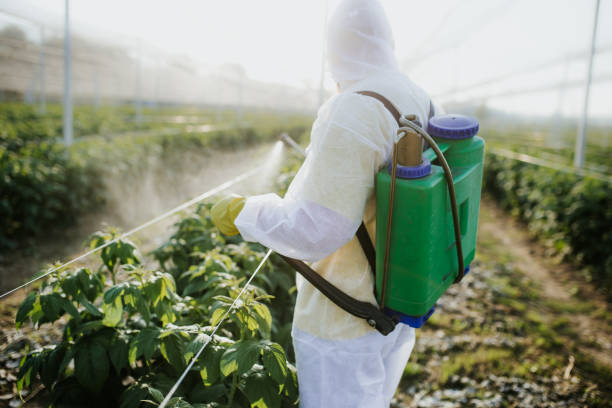Best Exterminator Services  in Elwood, IL